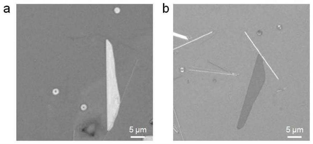 Method for reducing thickness of tellurium nanosheet