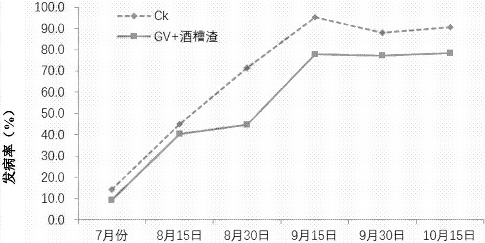 Method for cultivating traditional Chinese medicines by using vinasse organic fertilizer and arbuscular mycorrhizal fungi