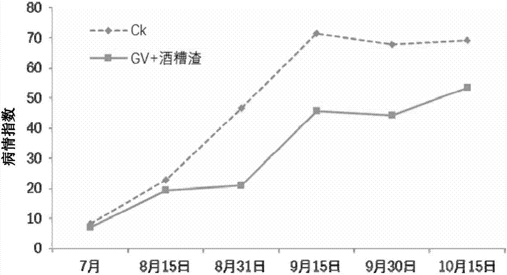 Method for cultivating traditional Chinese medicines by using vinasse organic fertilizer and arbuscular mycorrhizal fungi