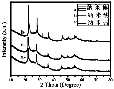 Method for controllably synthesizing different shapes of niobium pentoxide nanomaterials without template hydrothermal heat