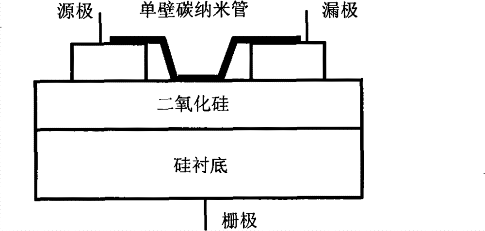 Method for manufacturing biological detector of field effect transistor based on carbon nano tube