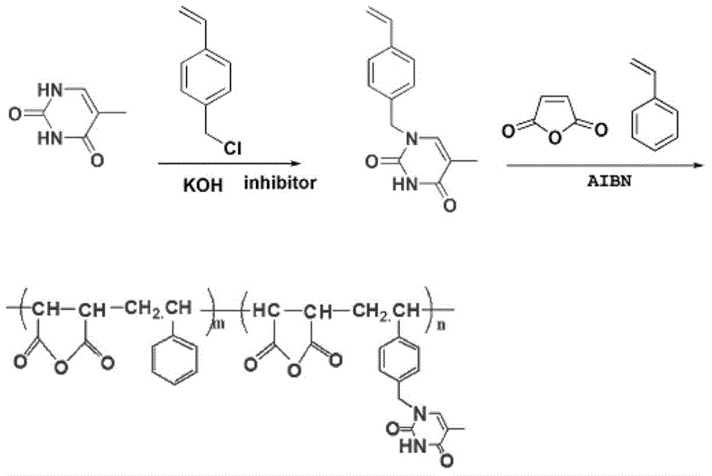 Photosensitive amphiphilic copolymer containing thymine and self-assembled micelle thereof