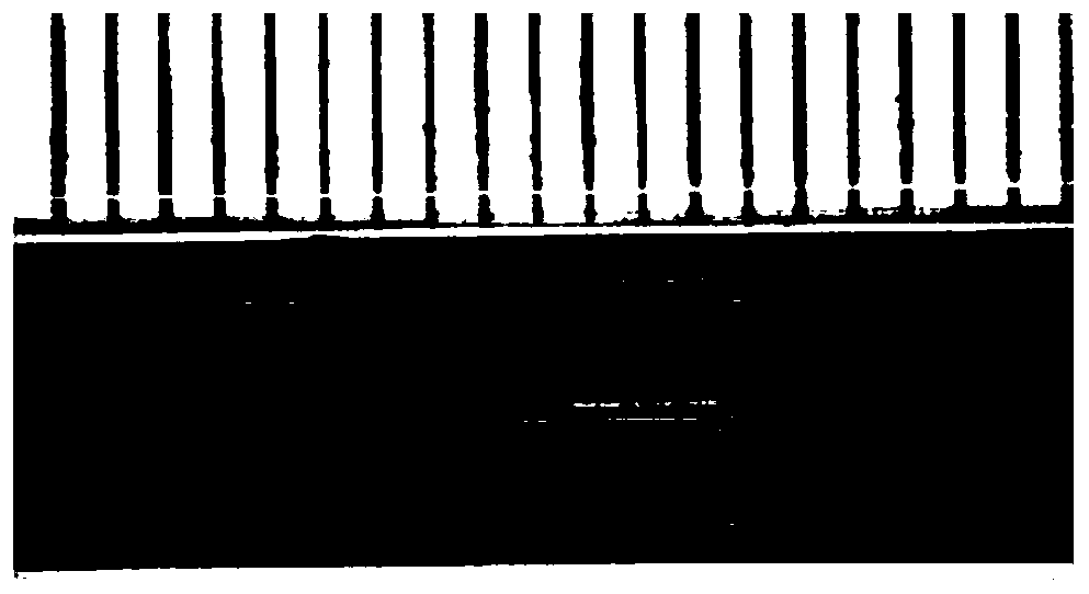 Preparation method of hollow fiber ceramic oxygen permeable membrane with petal-shaped cross section