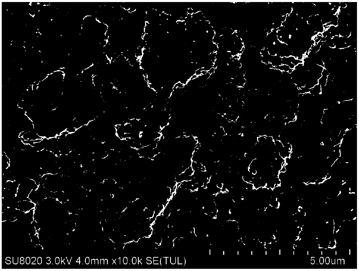 Quasi-solid electrolyte for protecting lithium negative electrode and preparation method thereof