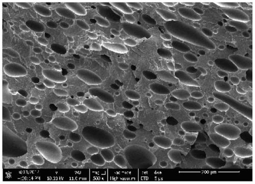 Preparation method of foamed nylon plate