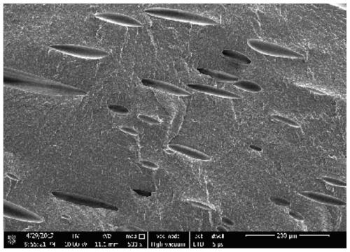 Preparation method of foamed nylon plate