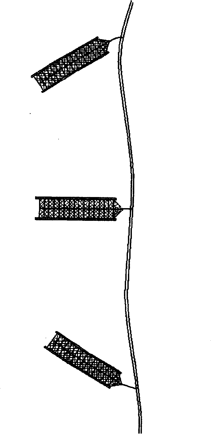 Device and method for cultivating sea cucumber on seabed by using net cage for cultivating shellfish