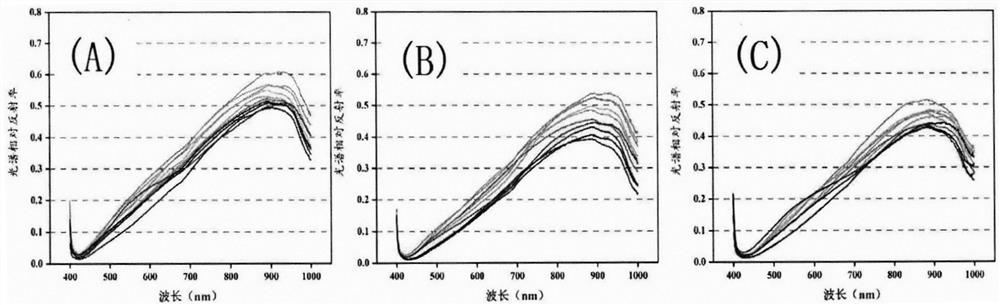 Quantitative detection method for mildewing of three types of aspergillus in rice based on hyperspectral imaging technology