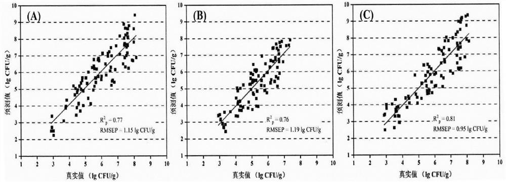 Quantitative detection method for mildewing of three types of aspergillus in rice based on hyperspectral imaging technology