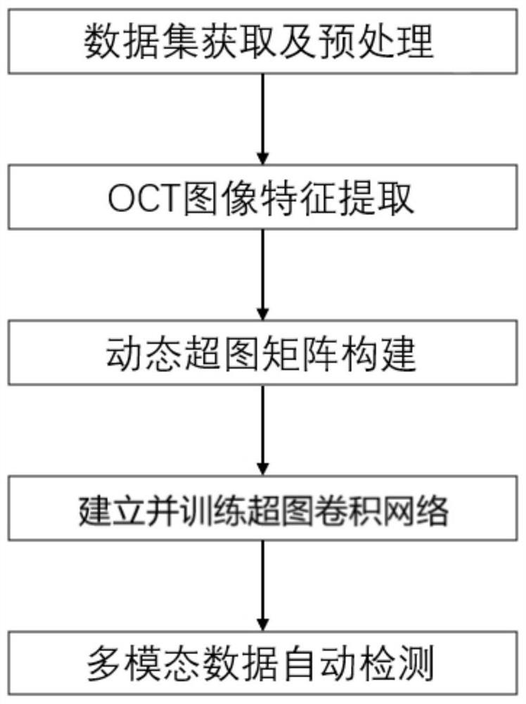 OCT image detection method and system based on retinal hierarchical data