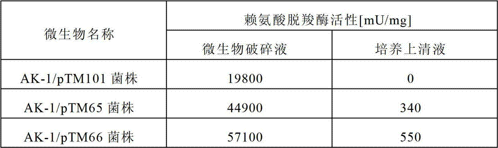 Process for production of cadaverine