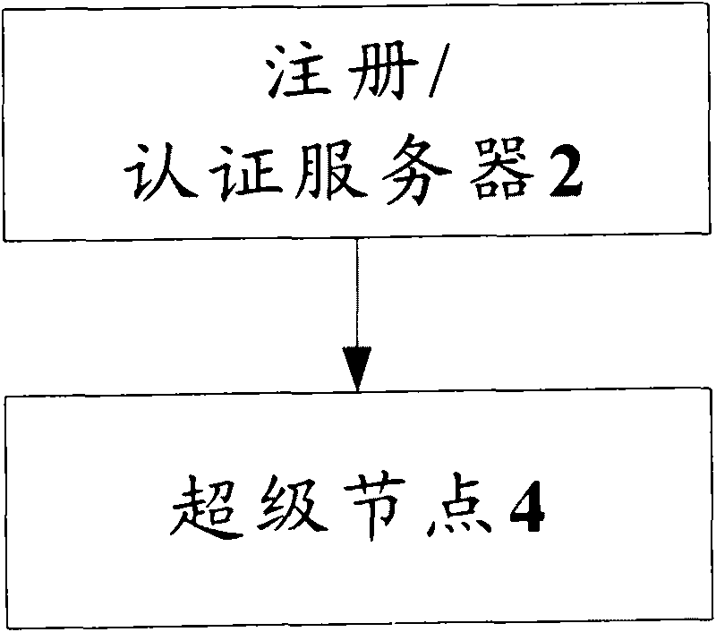 Authentication system and method based on peer-to-peer computing network