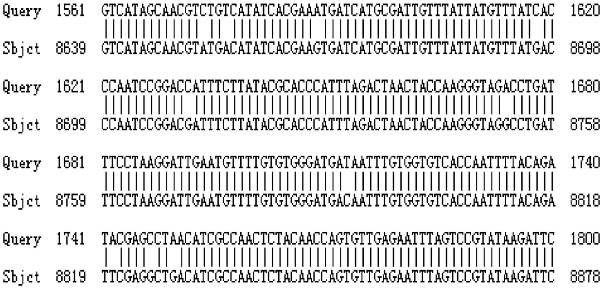 Canine distemper parvovirus bigeminy subunit vaccine