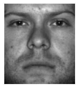 A Face Recognition Method Based on Weighted Huber Constrained Sparse Coding