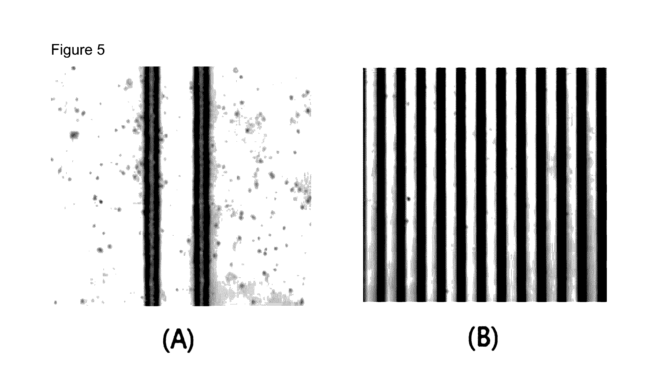 Carbon-Metal Composite and Method for Preparing the Same