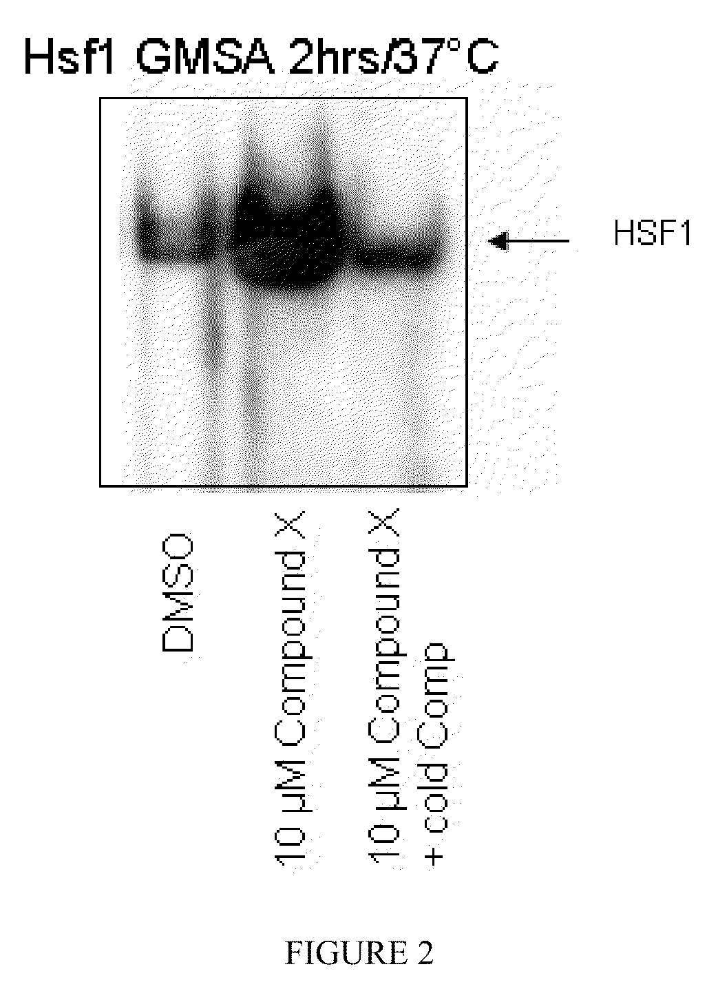 Indole compounds and their use as radiation sensitizing agents and chemotherapeutic agents