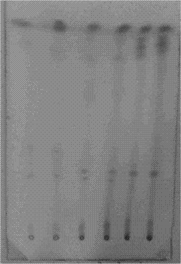 Method for detection of rehmannia glutinosa in Qingwenbaidu powder