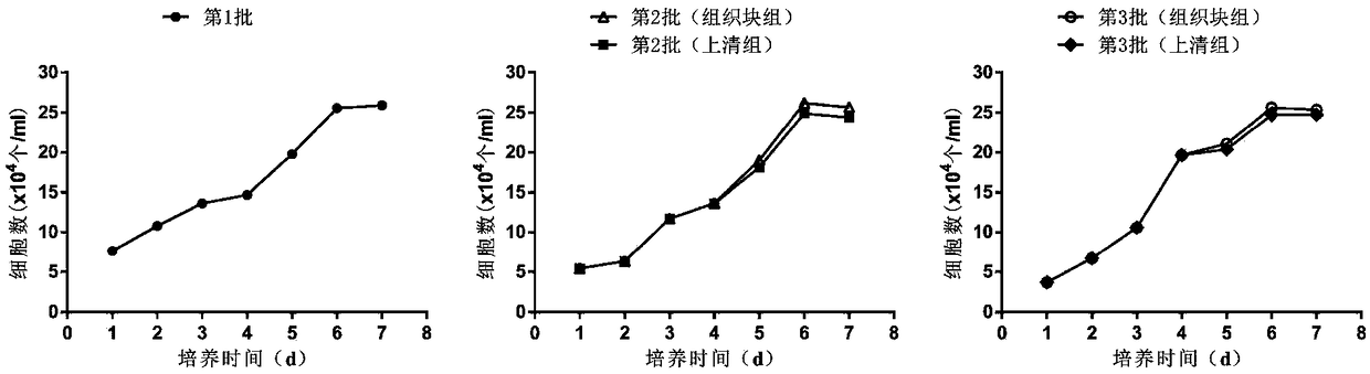 Multi-batch primary separation method of same-donor-derived human mesenchymal stem cells