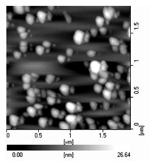 Bone morphogenetic protein-2/basic fibroblast growth factor (BMP-2/bFGF) double-gene chitosan nano-microcapsules and application thereof