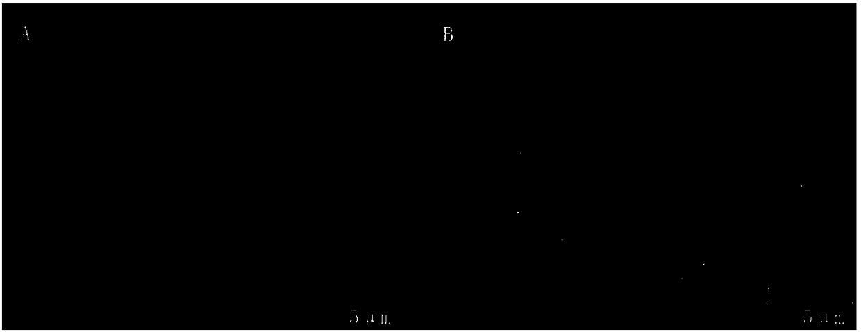 MFC (microbial fuel cell) decolorization method based on PEDOT membrane electrode