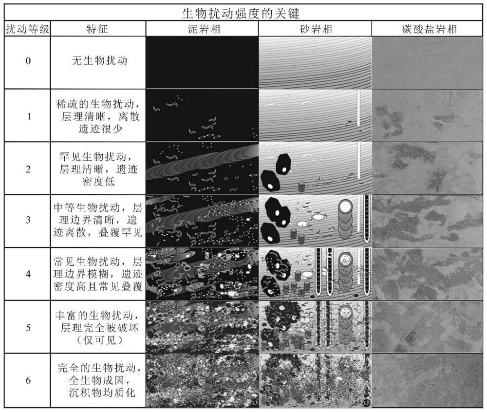 A Bioturbation Reservoir Identification Method Based on Multi-source Logging Data