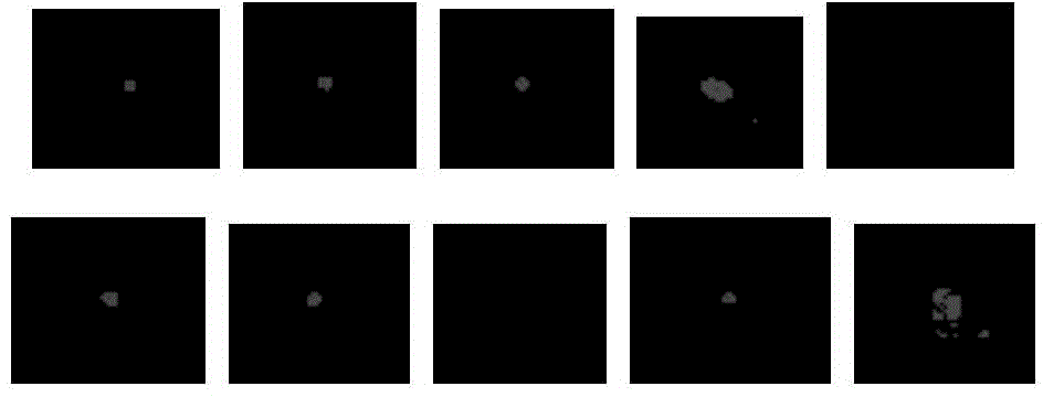 Nine-ball computer-assisted detection identification method