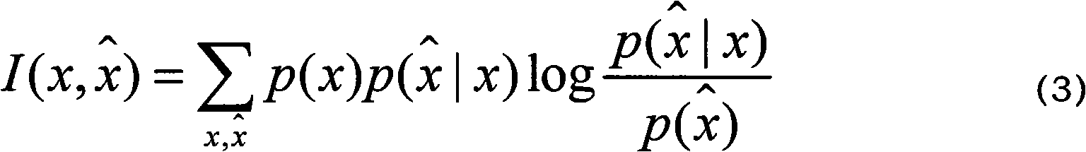 File clustering method based on information bottleneck theory