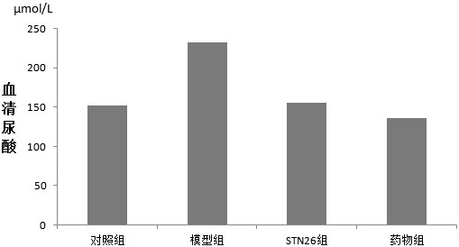 Streptococcus thermophilus STN26, bacterial powder and application of streptococcus thermophilus STN26 in uric acid reducing products