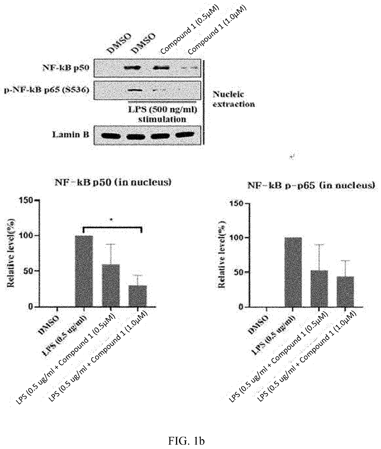 Novel use of pyrrolopyridine derivatives for preventing or treating inflammatory diseases