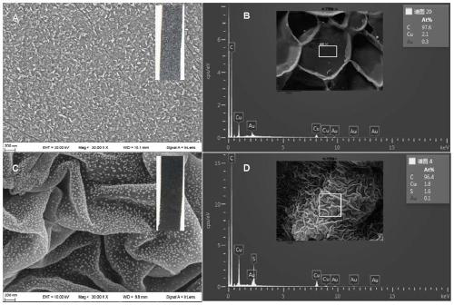 Application of a photothermal conversion copper sulfide composite film in water treatment