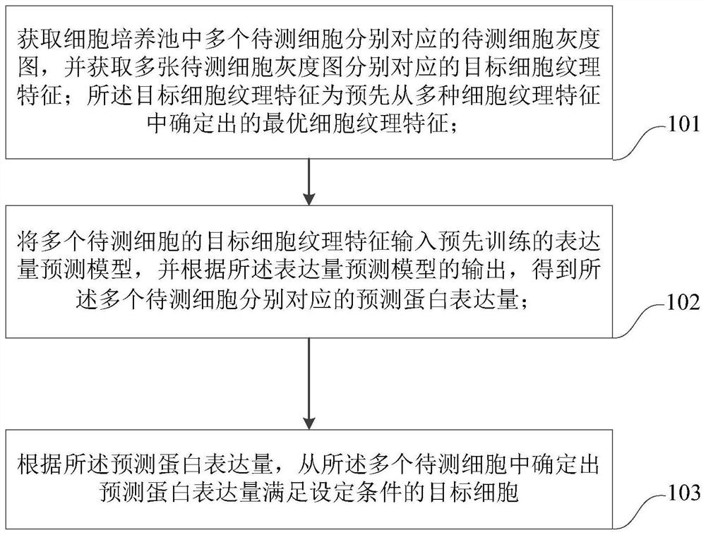 Cell screening method and device based on expression level prediction model