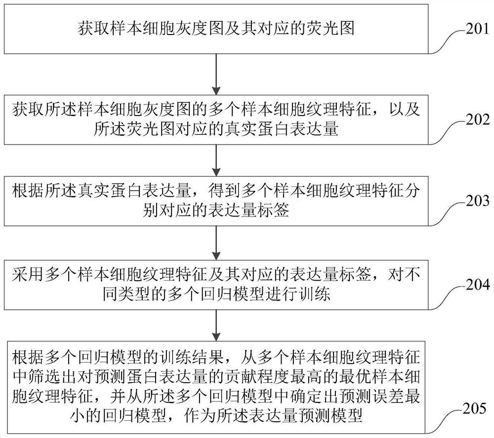 Cell screening method and device based on expression level prediction model