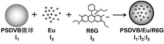 Eu&lt;3+&gt; and rhodamine 6G doped polymer fluorescent encoding microsphere and preparation method