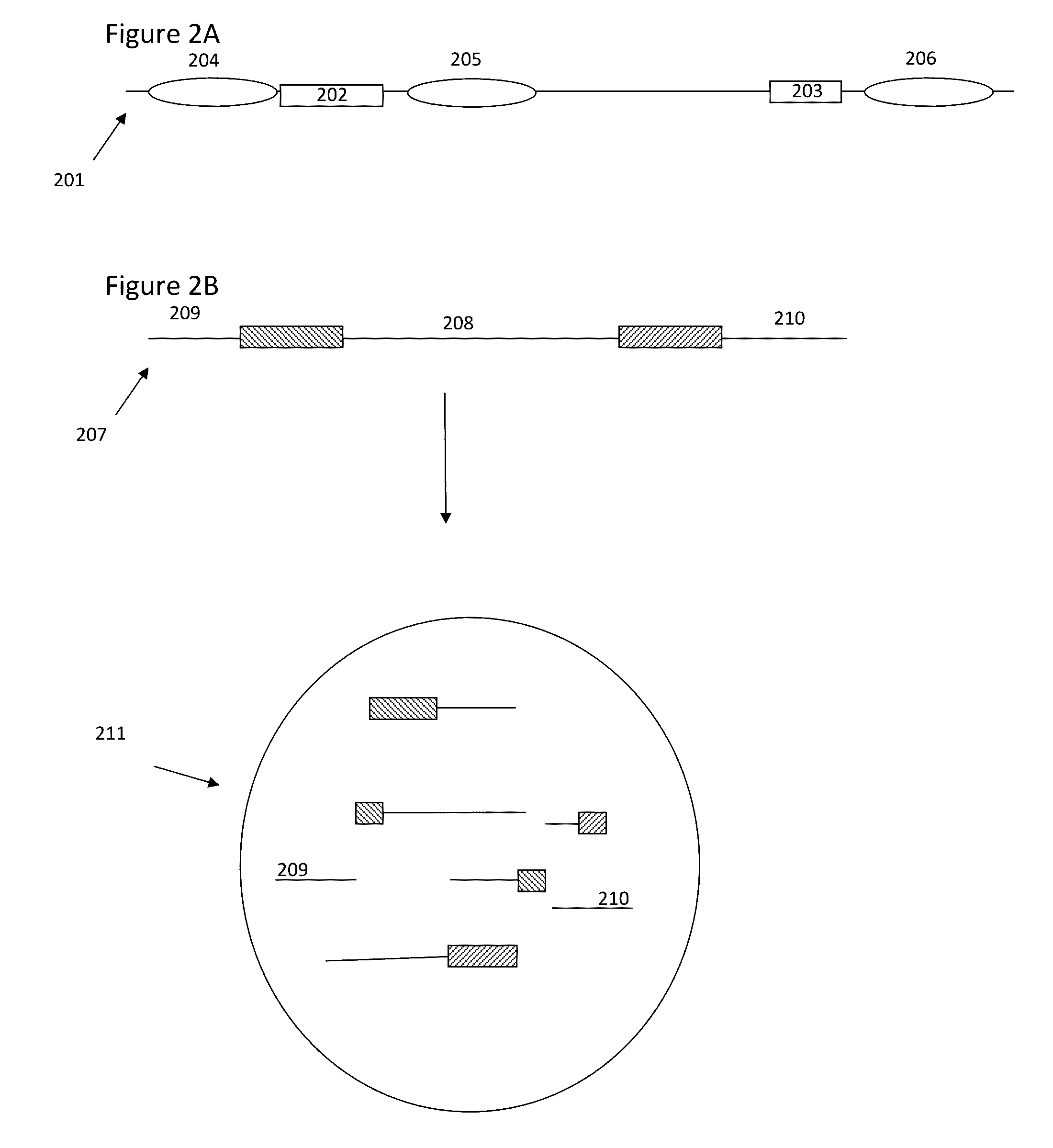 Methods and compositions for targeted nucleic acid sequencing