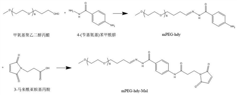 PH-responsive siRNA delivery system