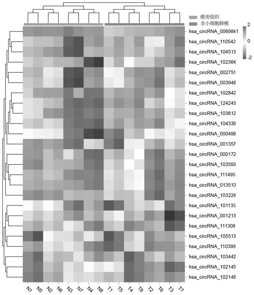 A kind of diagnostic kit for detecting nsclc and its using method and application