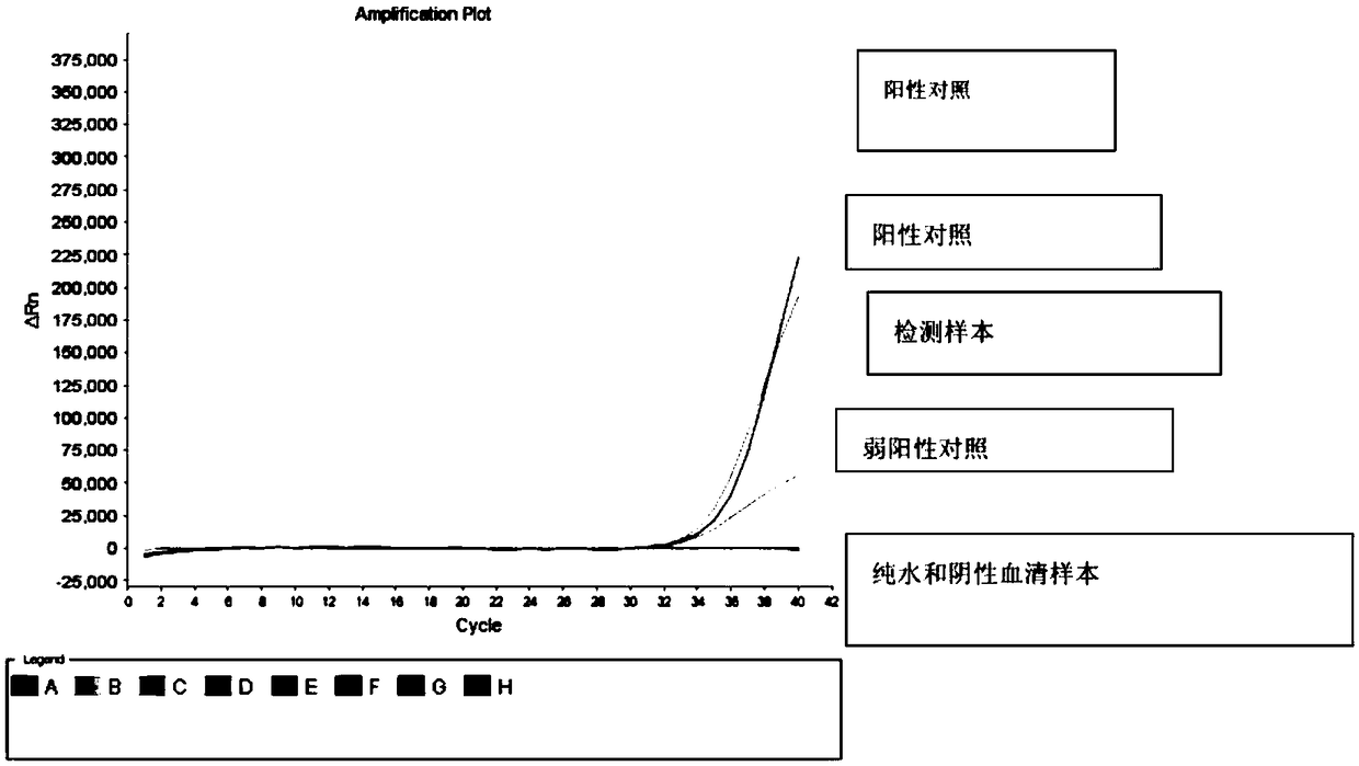 Kit and method for detecting EBV infection in trace biological sample of eye