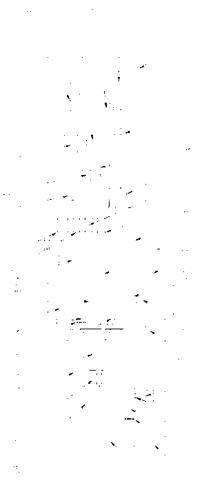 Incinerating system and method of disposing solid-liquid multi-phase hazardous waste mutually for fluidized bed