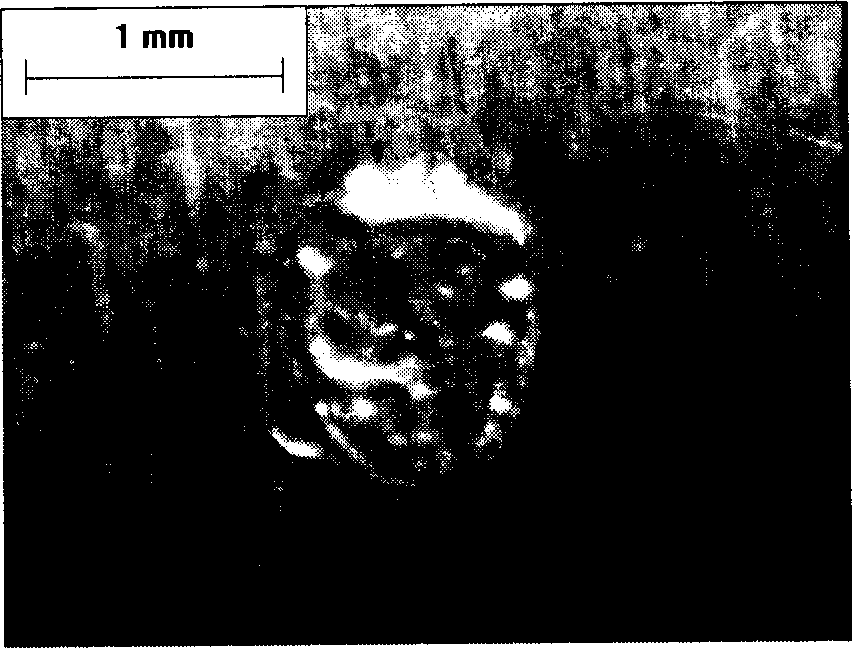 High frequency pulse laser induced electrode directional discharging apparatus for roughing roller surface