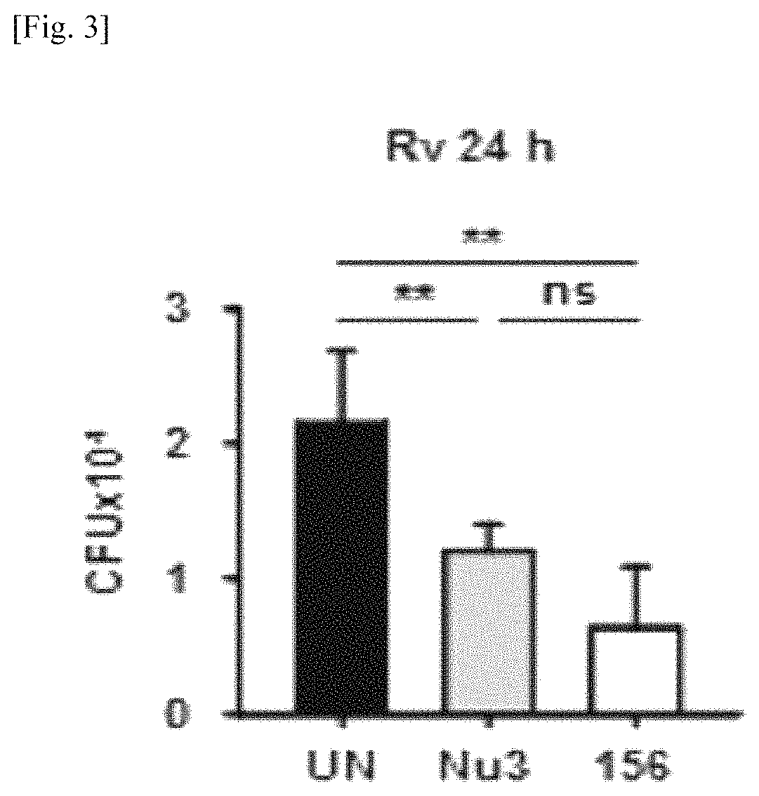 Method for preventing or treating tuberculosis by a P53 expression regulating composition for <i>M. tuberculosis </i>control in cells and the use thereof