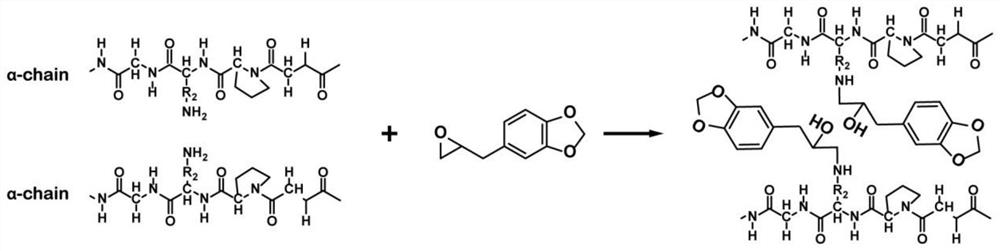 A kind of method for preparing antibacterial collagen based on safrole epoxidation modification