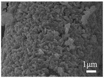 Preparation method of flexible electrode of ternary structure