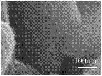 Preparation method of flexible electrode of ternary structure