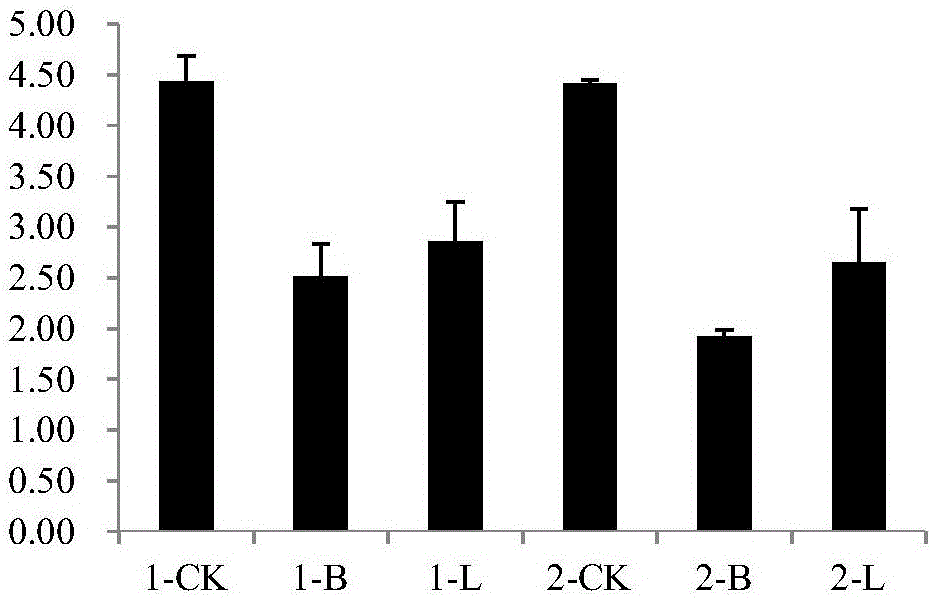 Method for lowering heavy-metal lead-cadmium content of Ipomoea aquatica