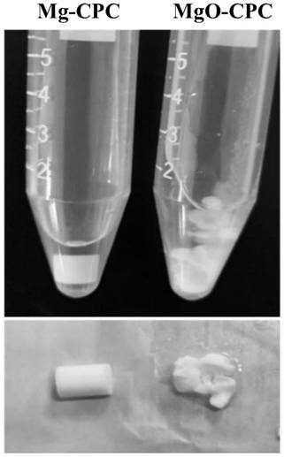 Magnesium slow-release bone cement with self-curing function and preparation method thereof