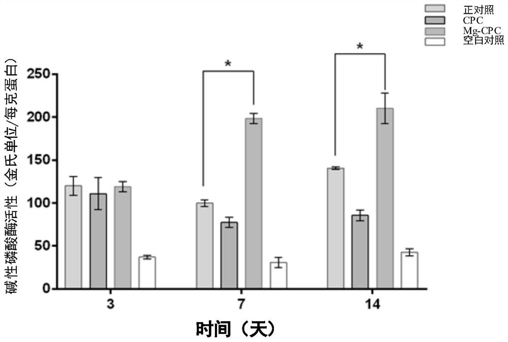 Magnesium slow-release bone cement with self-curing function and preparation method thereof