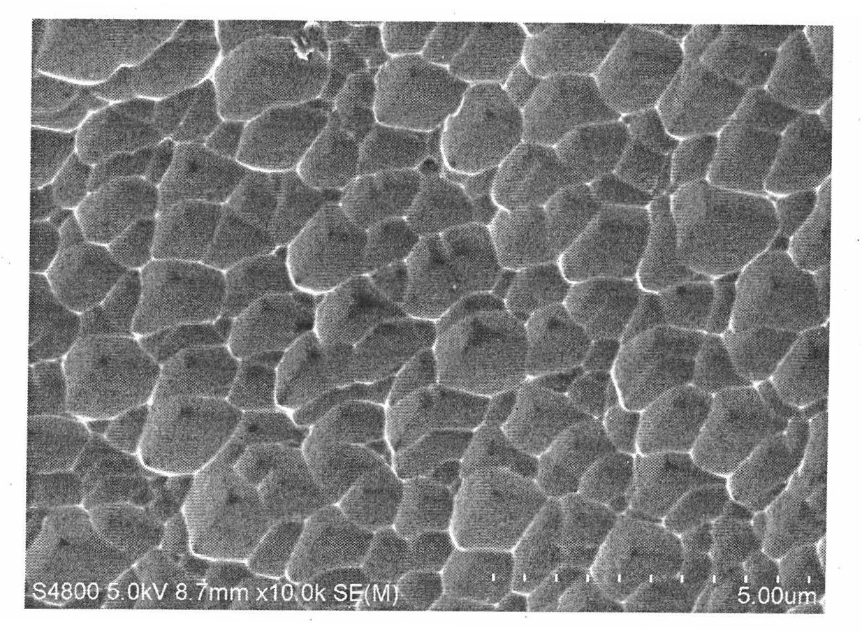 Preparation method of gene coatings of medical device