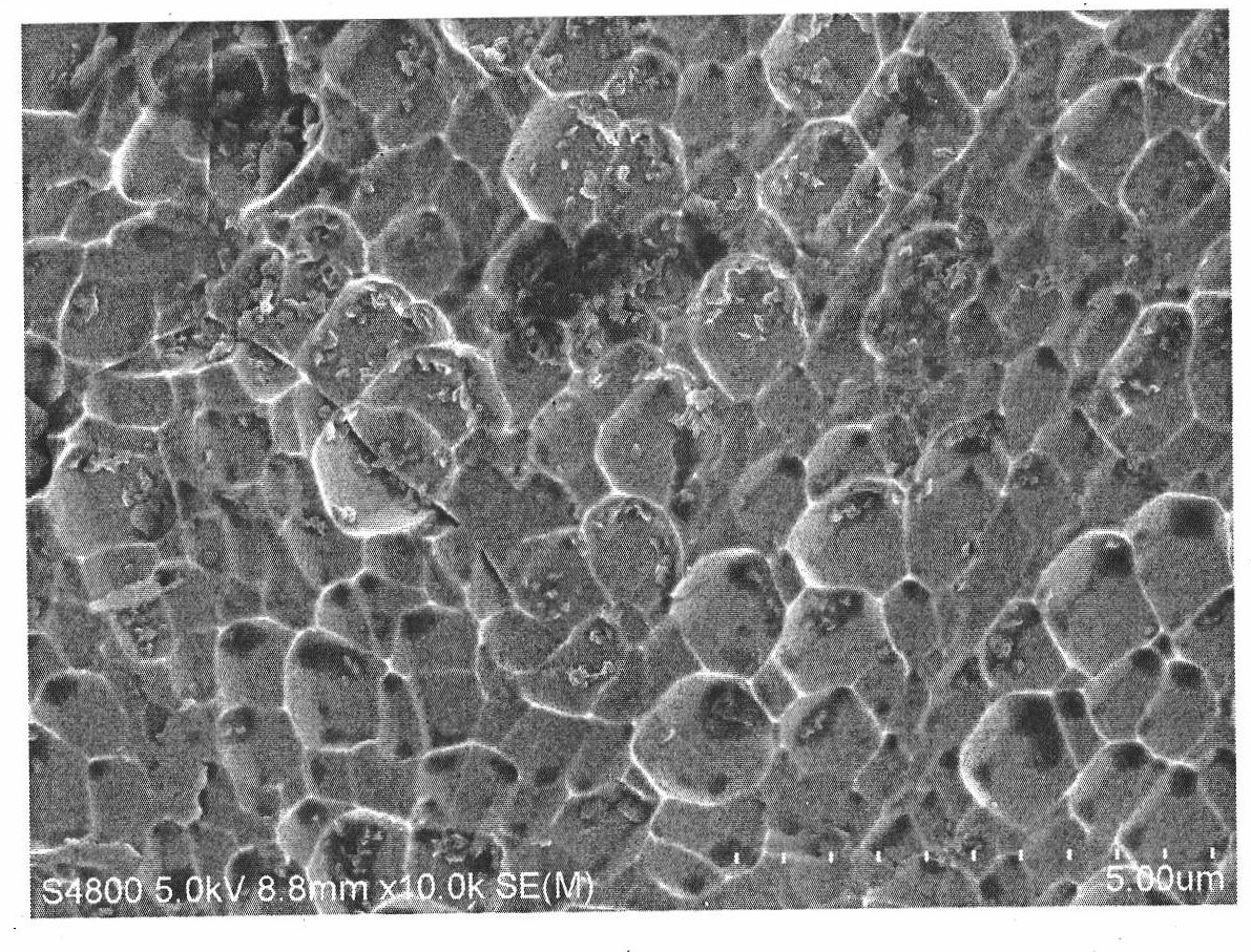 Preparation method of gene coatings of medical device