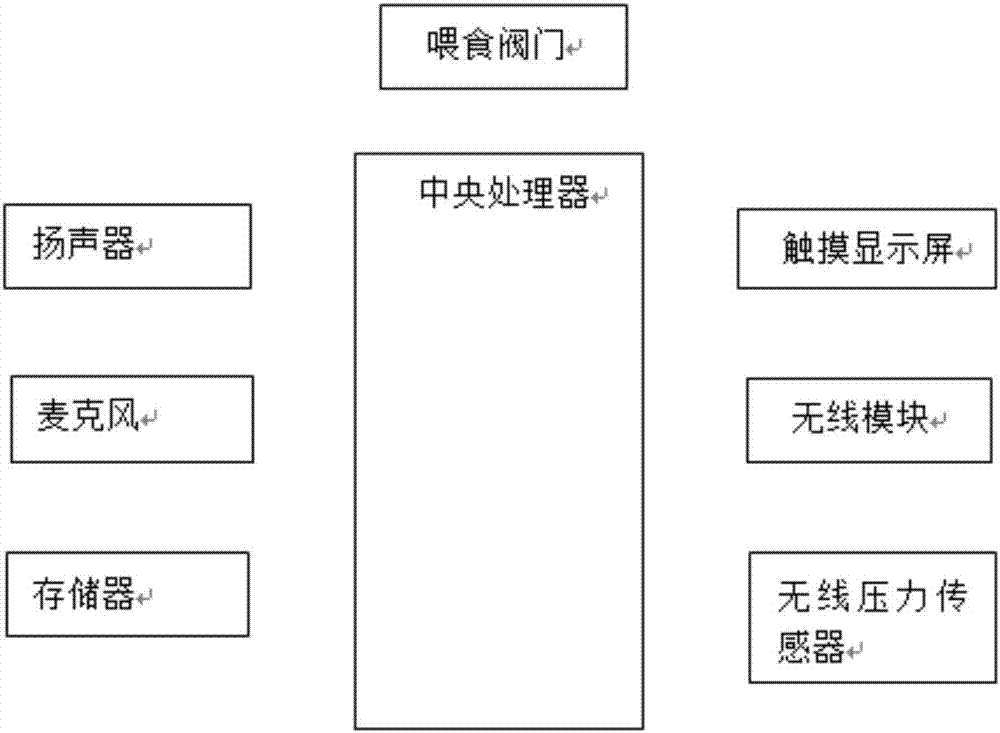 Pet performance based reward and punishment feeding method and system