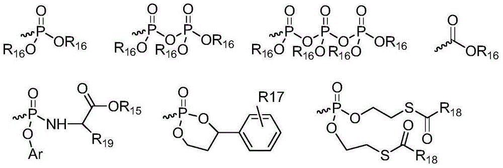 L-nucleoside compounds and application thereof